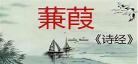 蒹葭原文带拼音